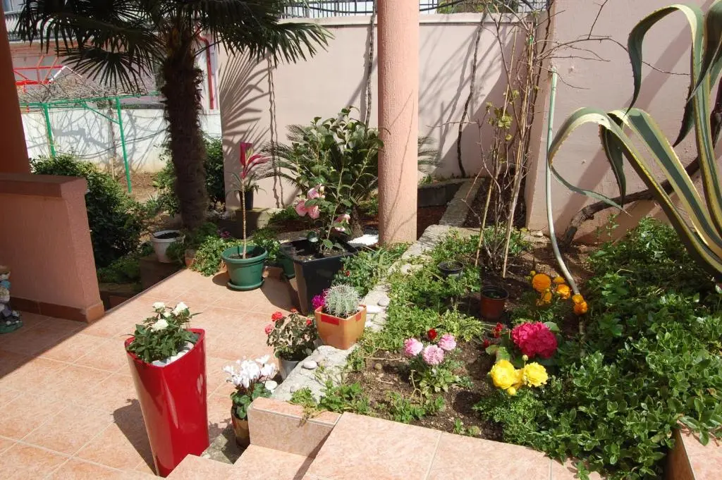 img_id_2203150.webp