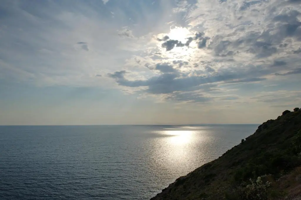img_id_2203158.webp