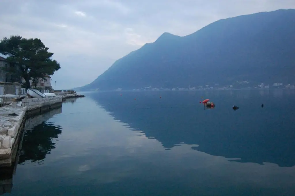 img_id_2203174.webp