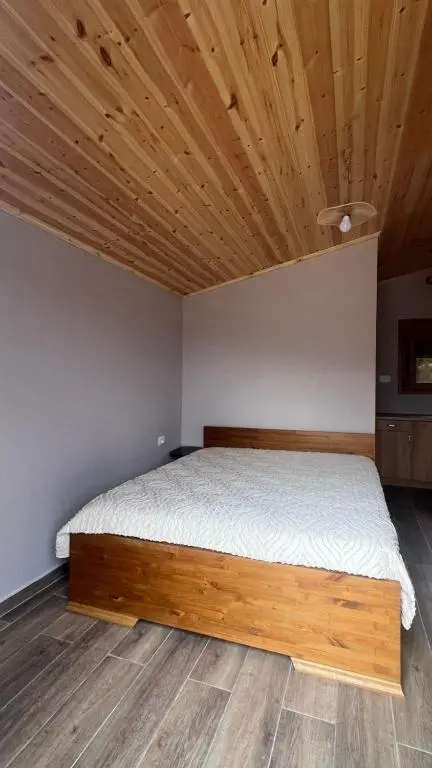 img_id_873357.webp