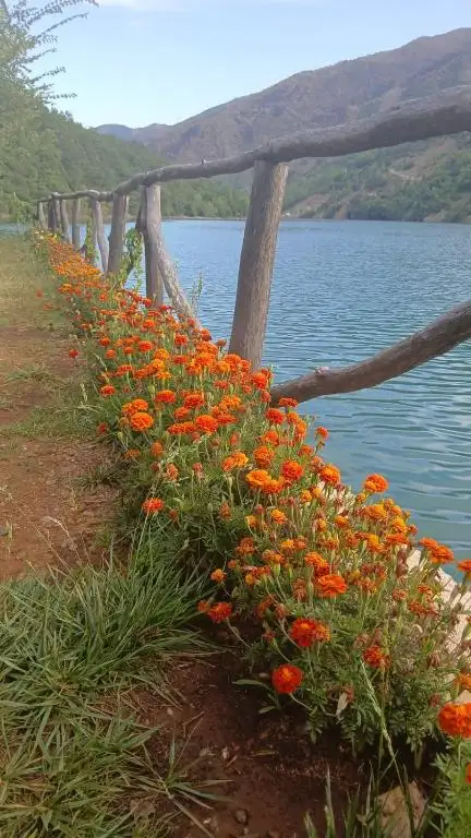 img_id_521309.webp