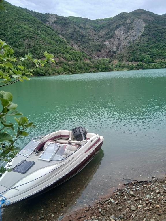 img_id_871723.jpg
