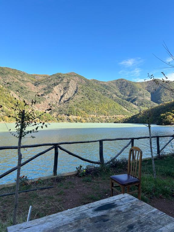 img_id_871815.jpg