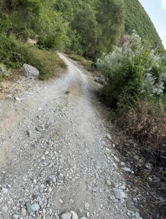 img_id_522738.webp