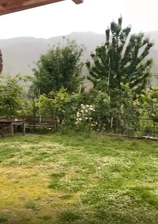 img_id_522740.webp