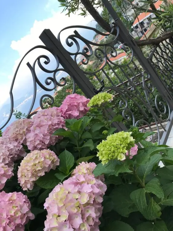 img_id_2202469.webp