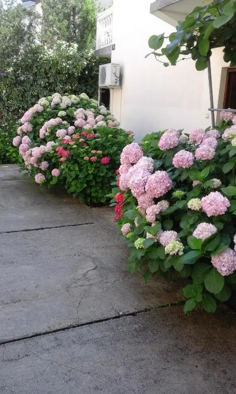 img_id_2202159.webp