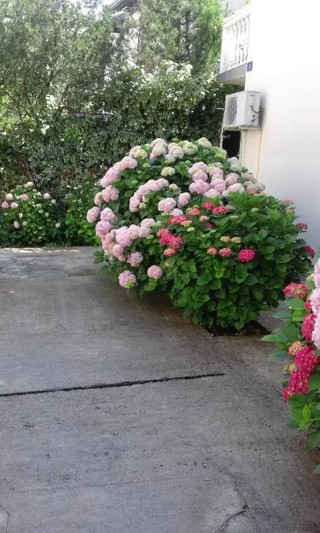 img_id_2202160.webp