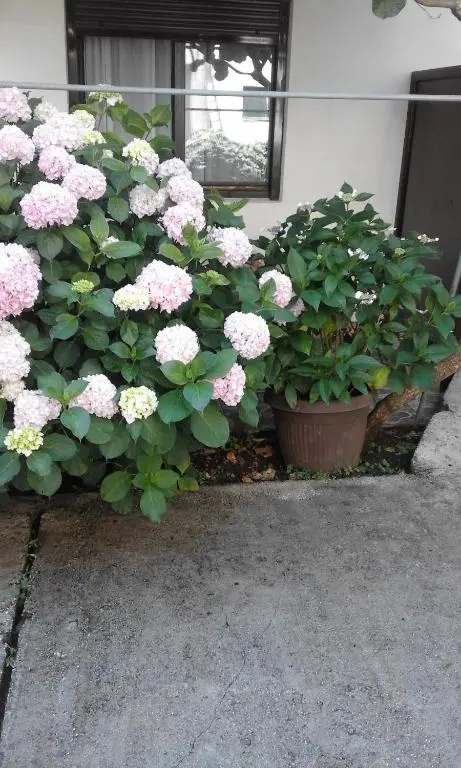 img_id_2202161.webp