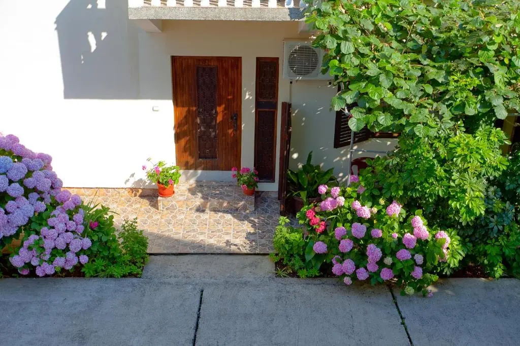 img_id_2202203.webp