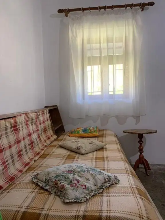 img_id_522058.webp