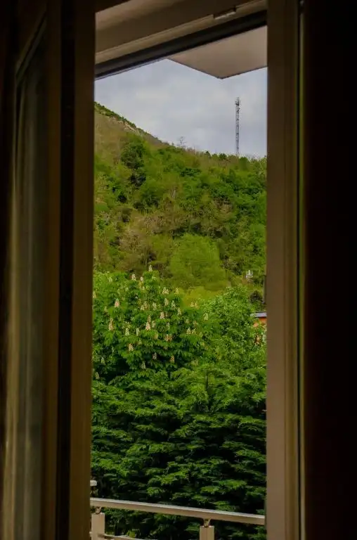 img_id_522411.webp