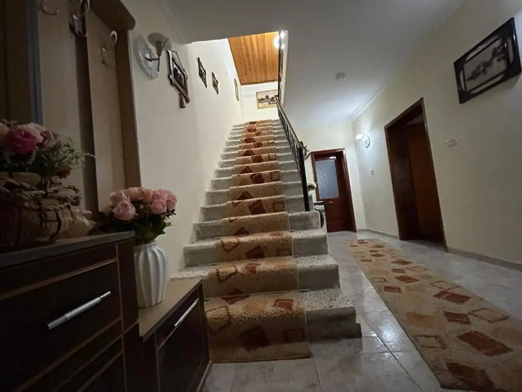 img_id_522779.webp