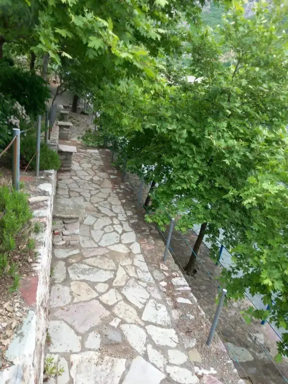 img_id_525064.webp