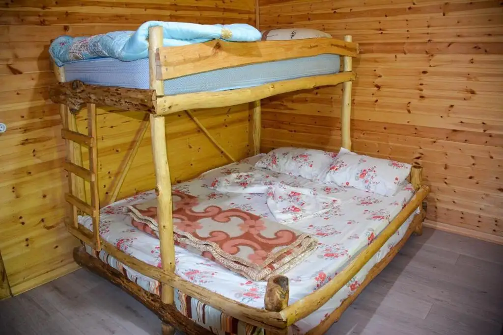 img_id_525778.webp
