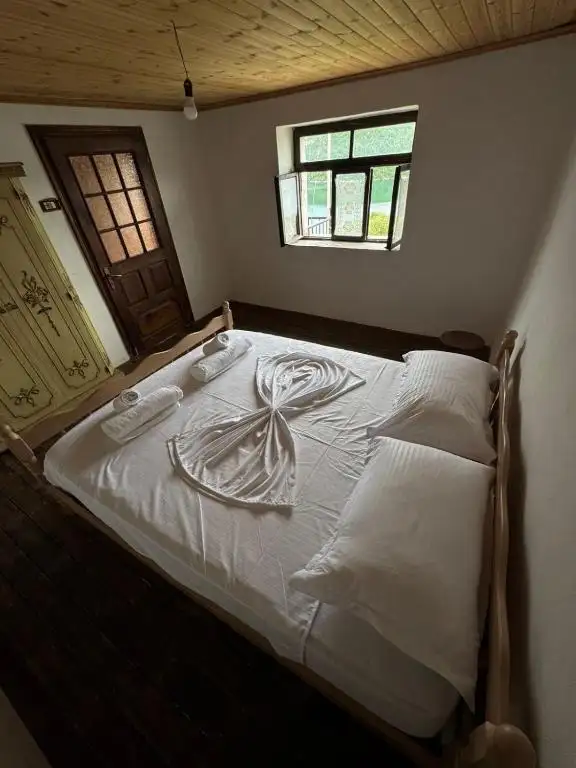 img_id_525855.webp