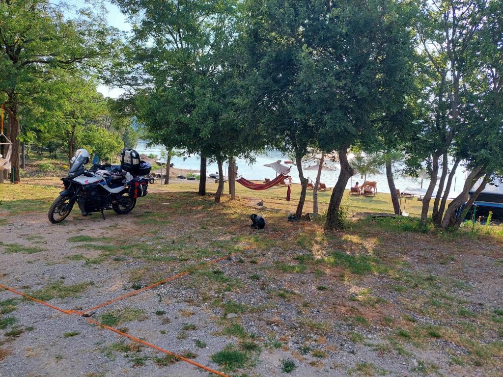 img_id_879198.jpg