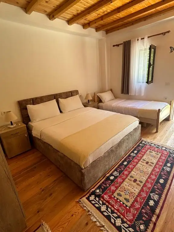 img_id_524194.webp