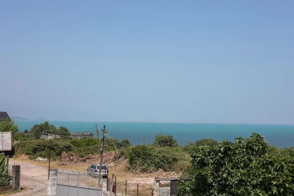 img_id_875001.webp
