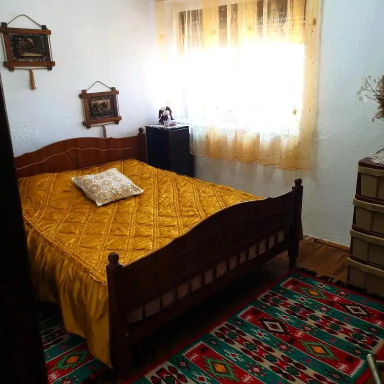 img_id_525514.webp