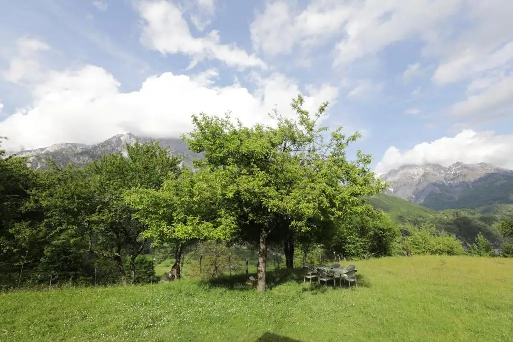 img_id_526108.webp