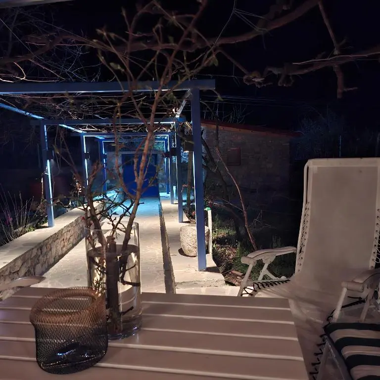 img_id_1718529.webp