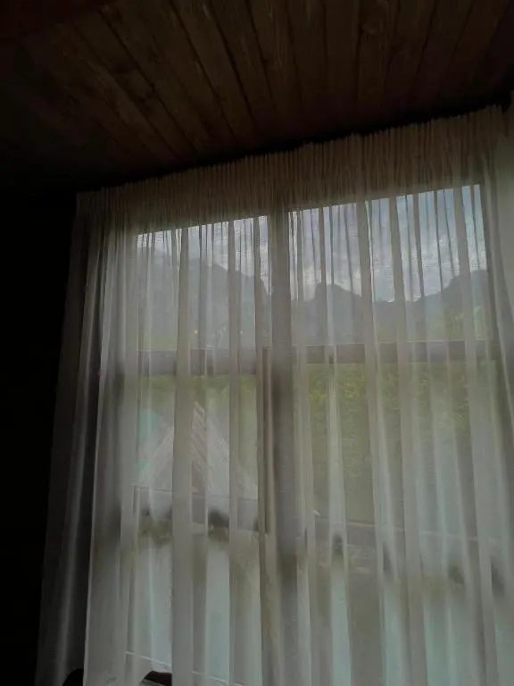 img_id_999568.webp