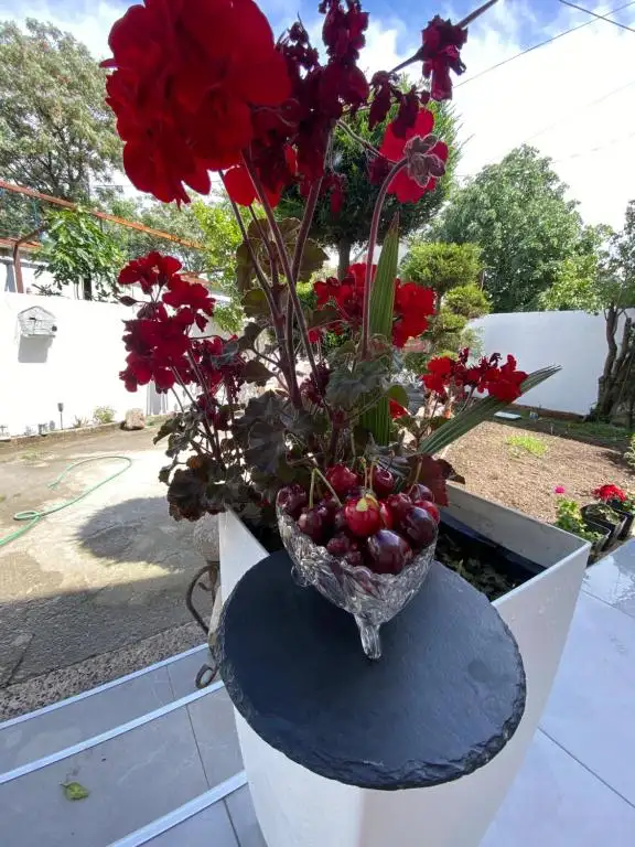 img_id_525541.webp