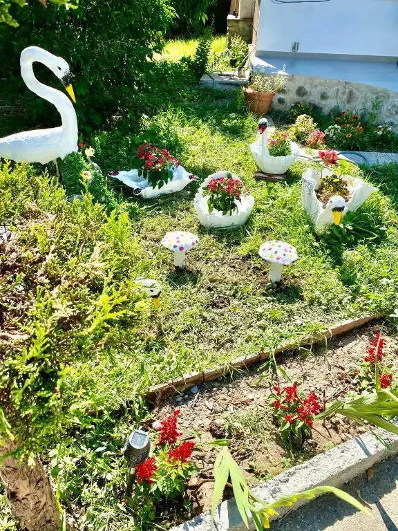 img_id_525641.webp
