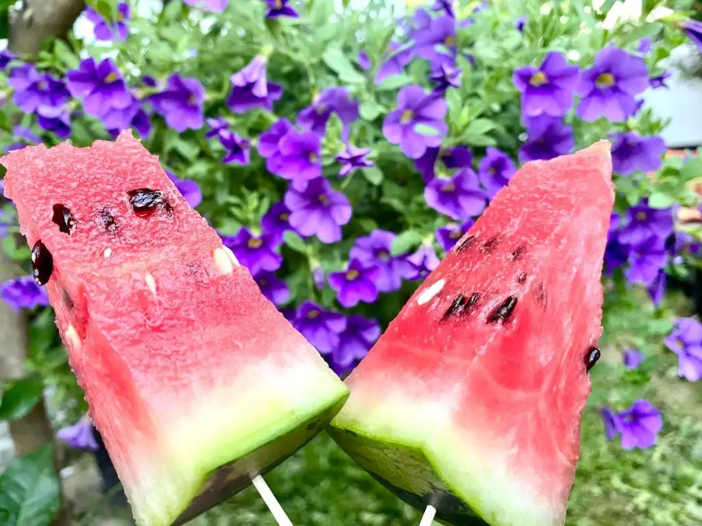 img_id_525644.webp