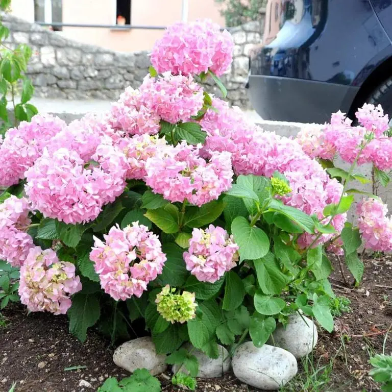img_id_1638339.webp