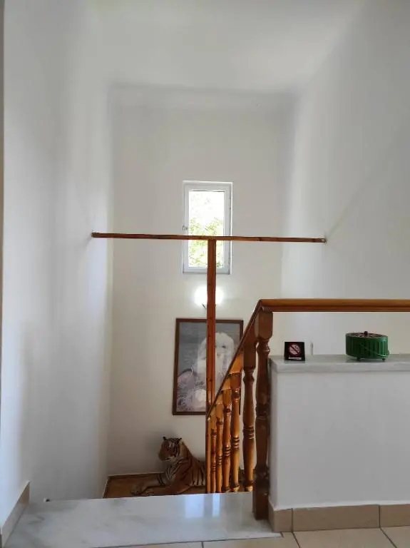 img_id_855887.webp