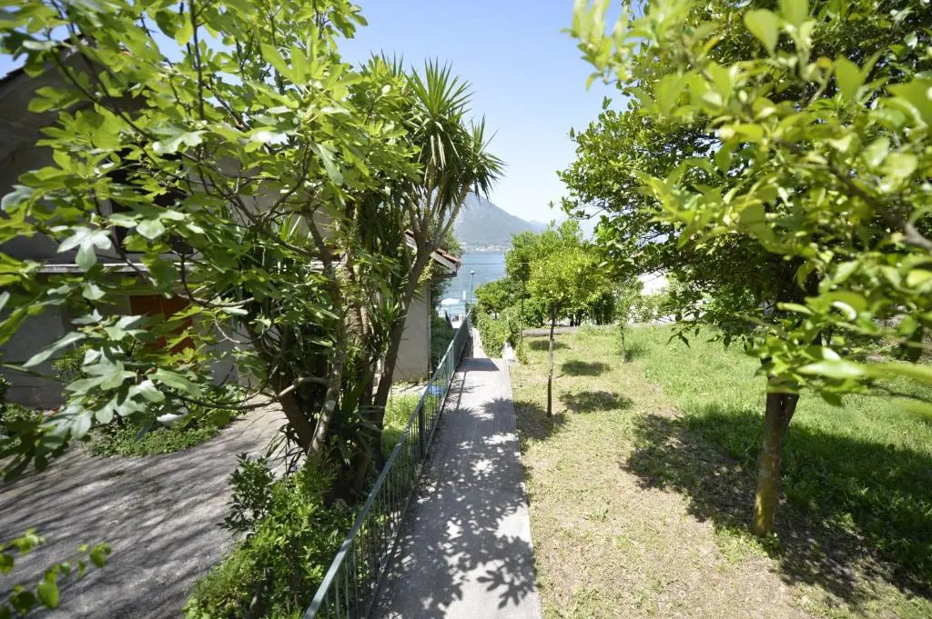 img_id_2199973.webp