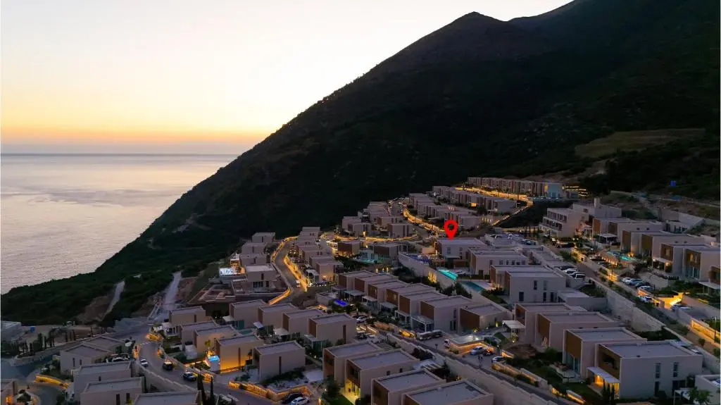 img_id_1408058.webp