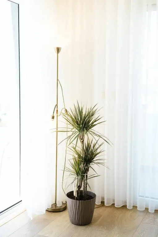 img_id_1553979.webp