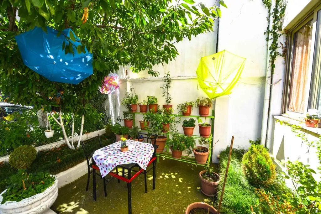 img_id_526616.webp