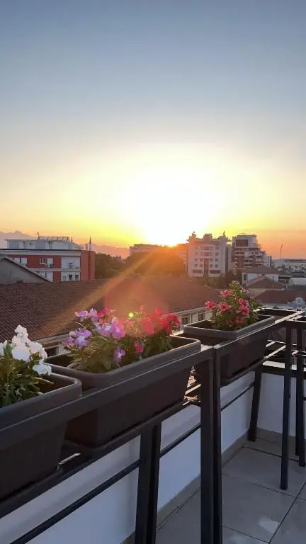 img_id_874148.webp