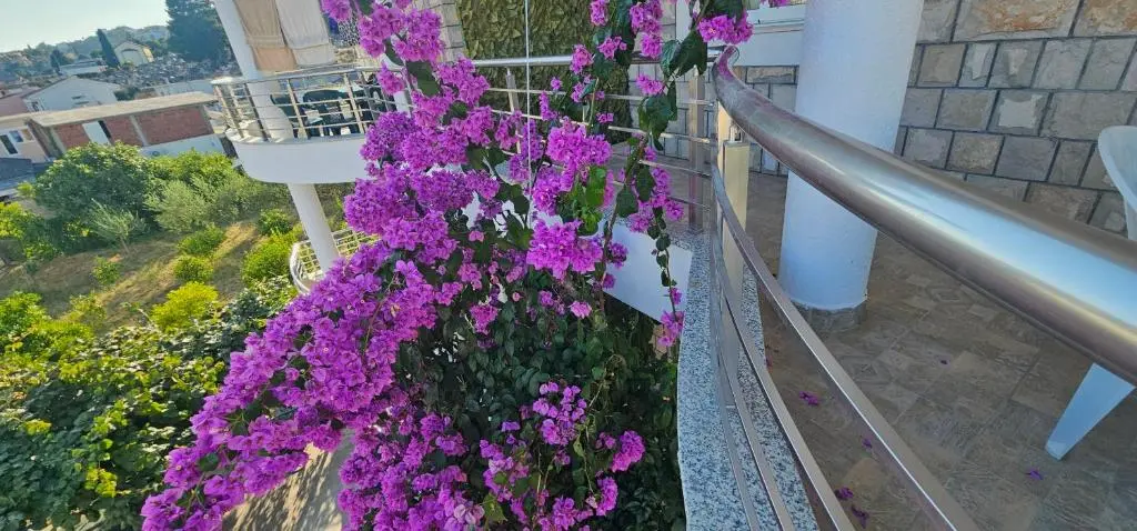 img_id_1635956.webp