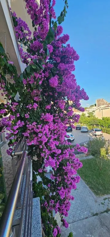 img_id_1636181.webp