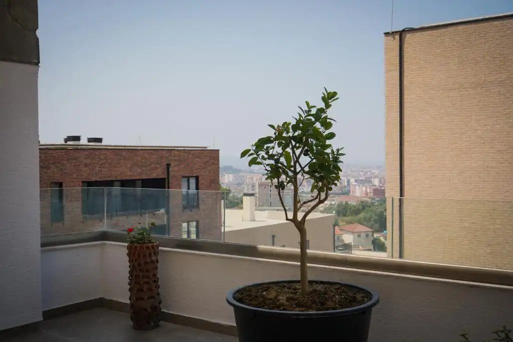 img_id_528955.webp