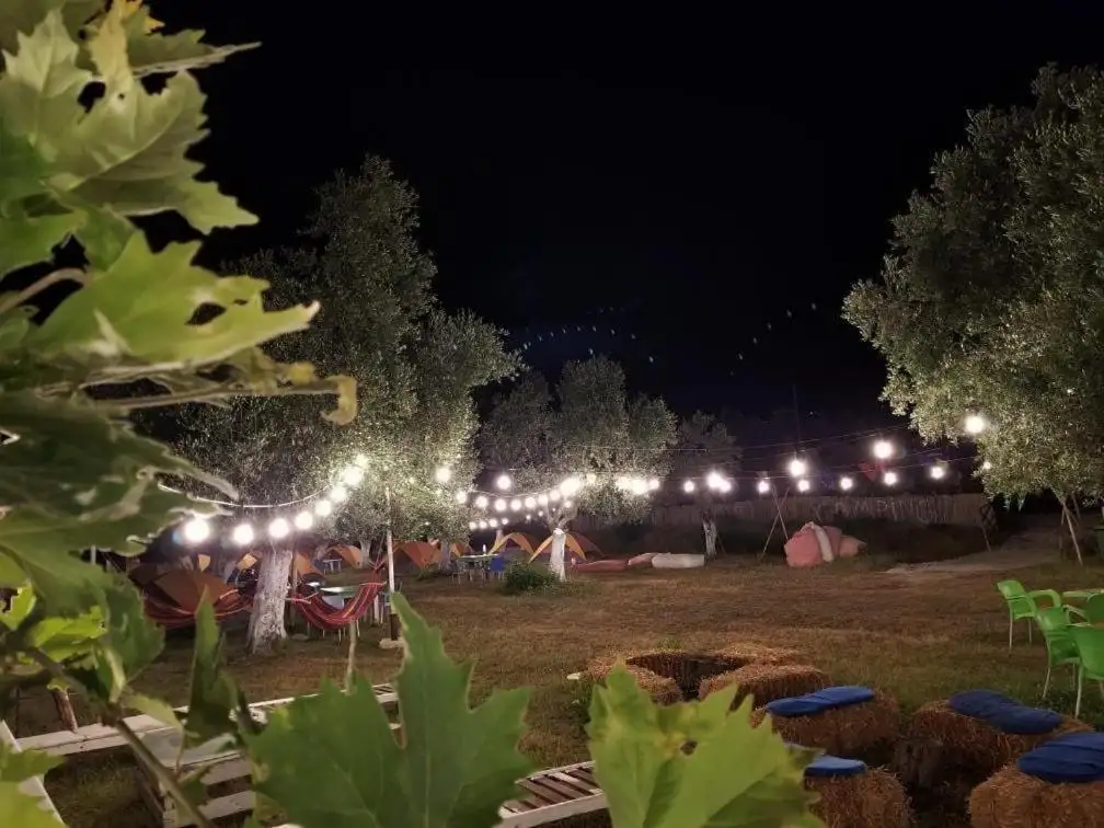img_id_535789.webp