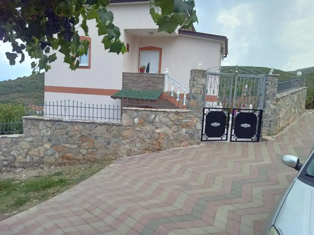 img_id_536333.webp
