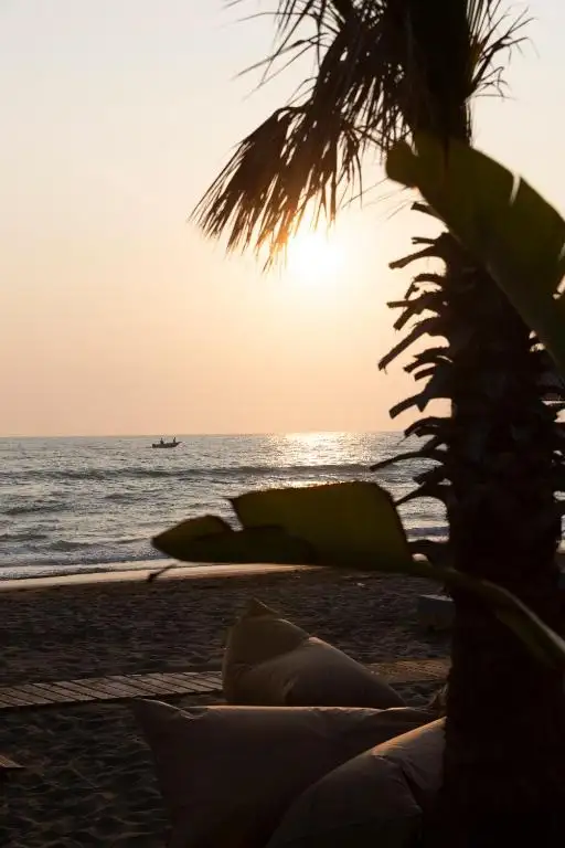 img_id_536592.webp
