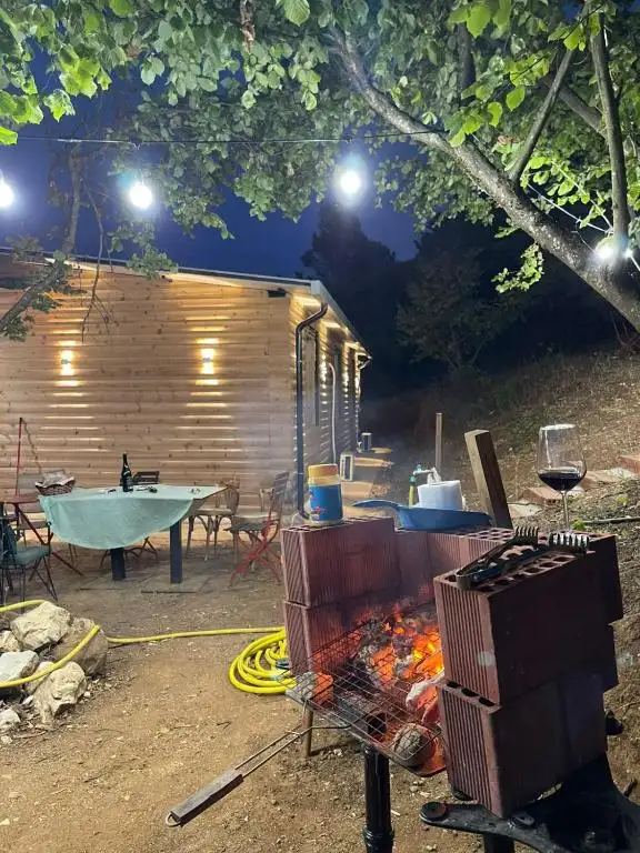 img_id_537481.webp