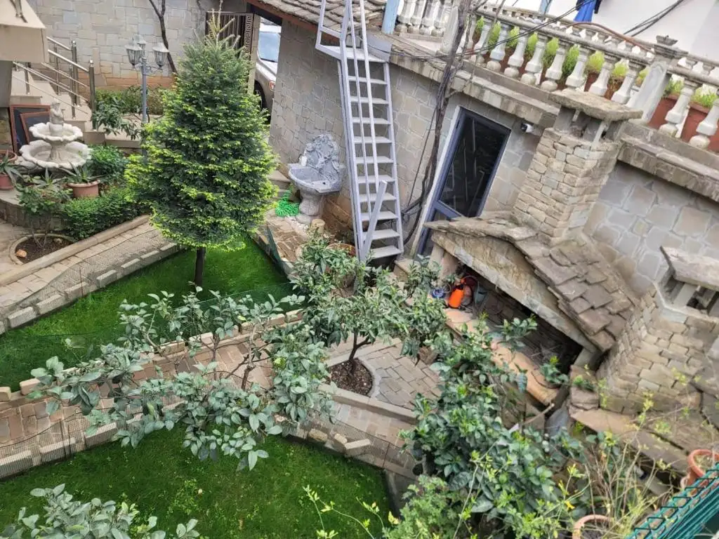 img_id_538675.webp