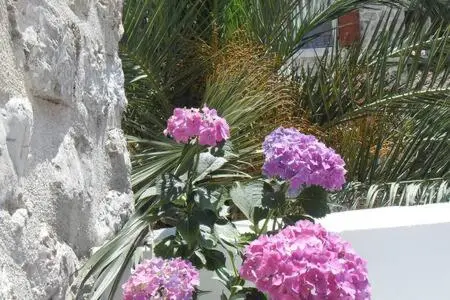 img_id_1633023.webp