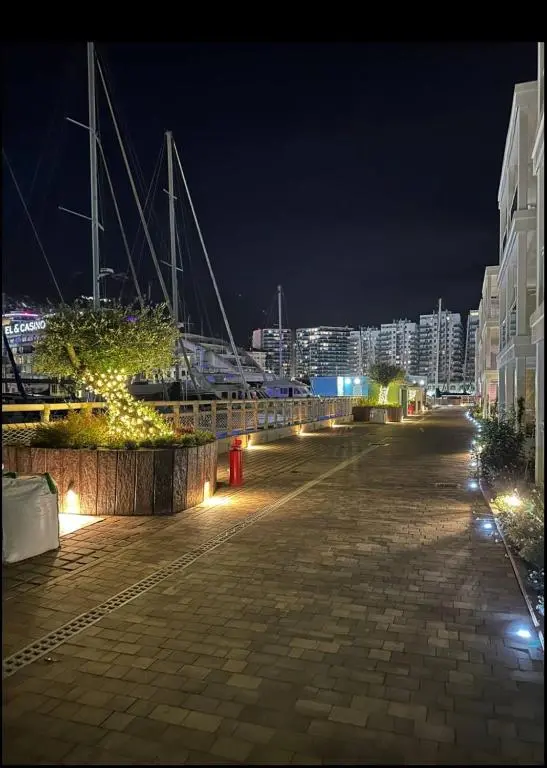img_id_1180348.webp