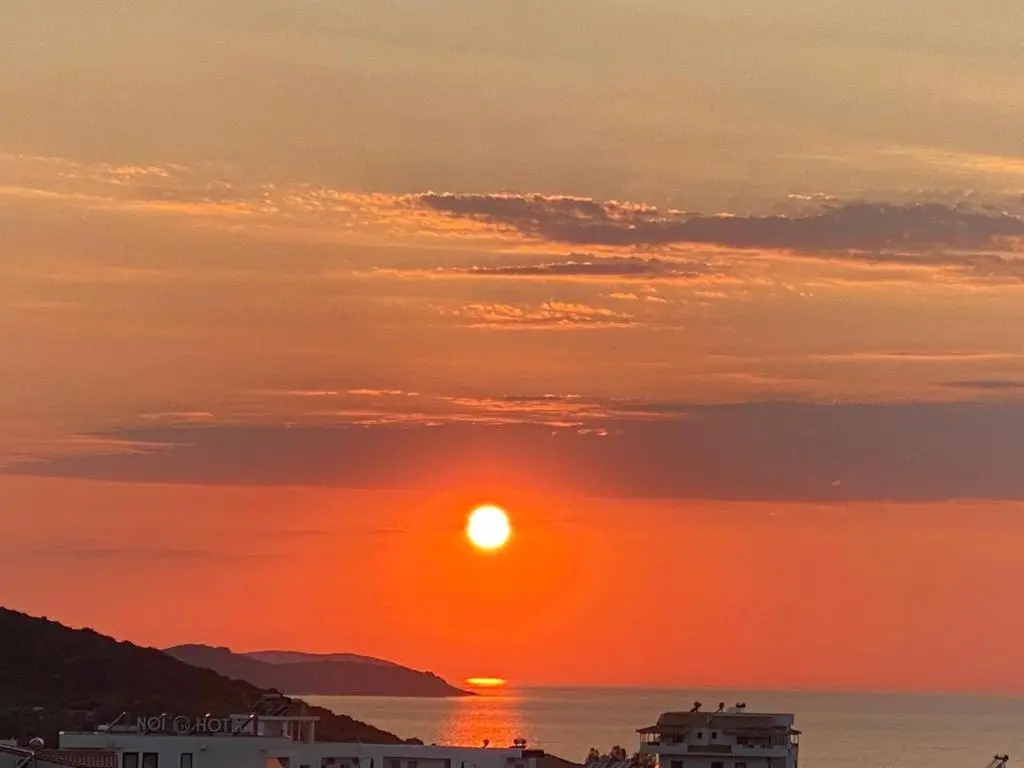 img_id_873198.webp