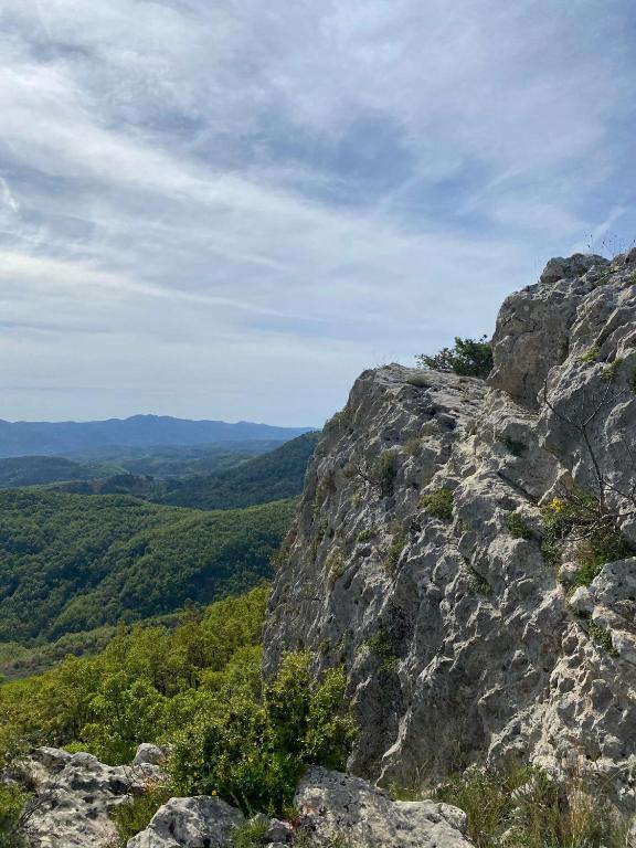 img_id_861828.jpg