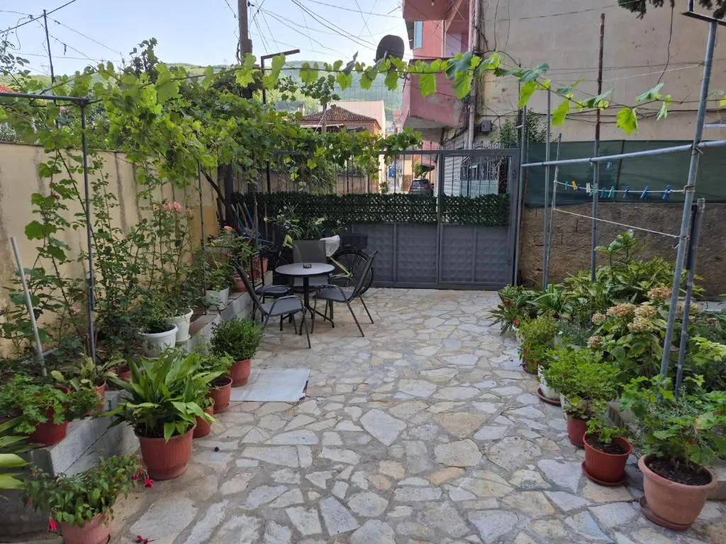 img_id_1177603.webp